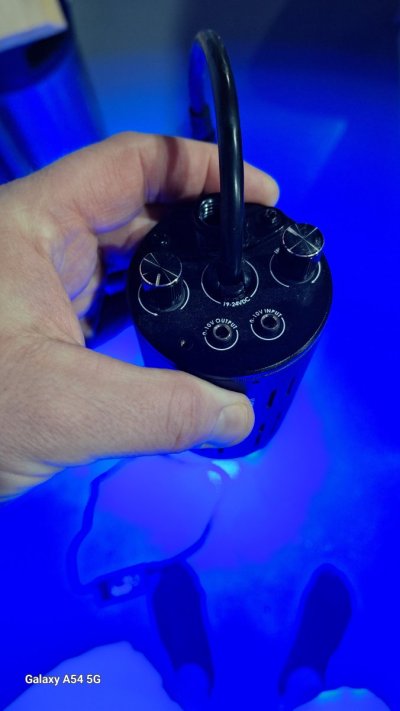 kessil 3 .jpeg