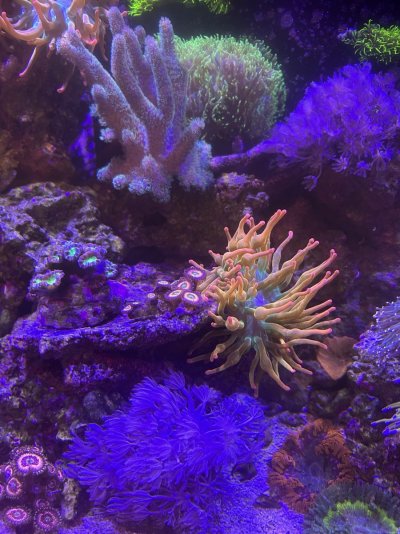 IMG_5200.jpeg