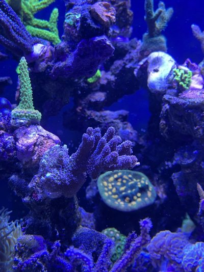 IMG_4742.jpeg