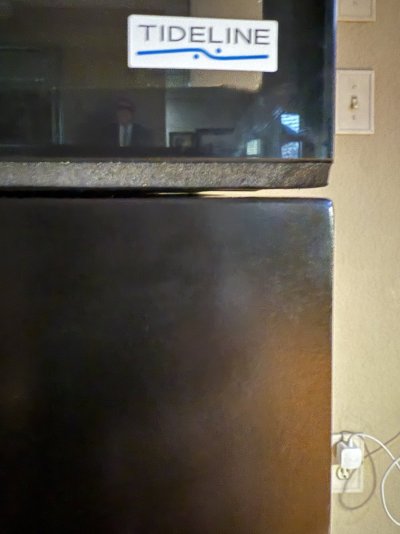 IMG_6277.jpeg