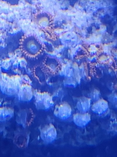 20250308_200001.jpg