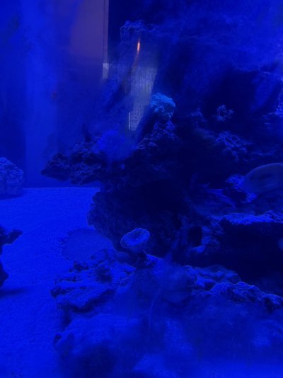 IMG_1880.jpeg