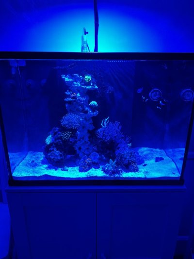 IMG_8504.jpeg