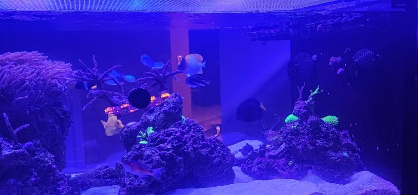 20250314_190740.jpg