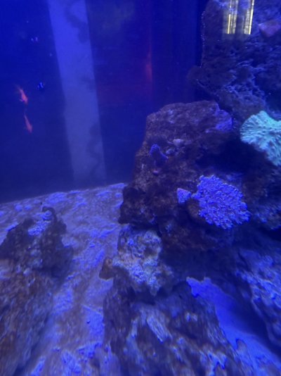 IMG_1883.jpeg