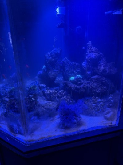 IMG_1889.jpeg
