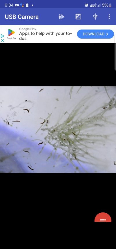 Screenshot_20250315_182050_Gallery.jpg
