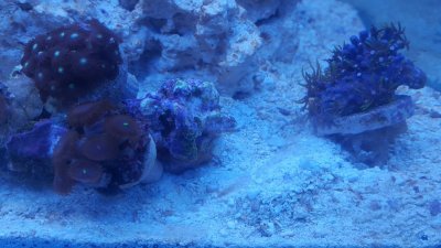 20161224_205656_resized.jpg
