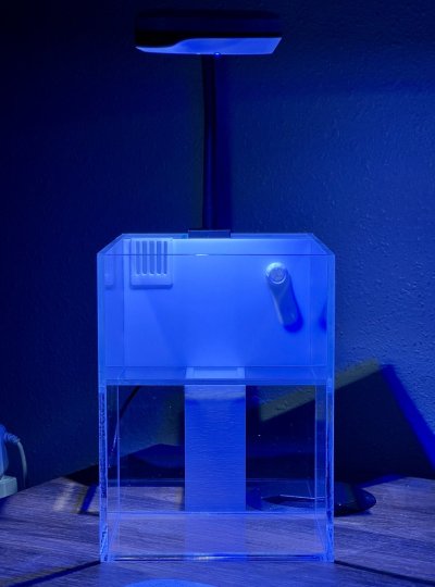 IMG_7835.jpeg
