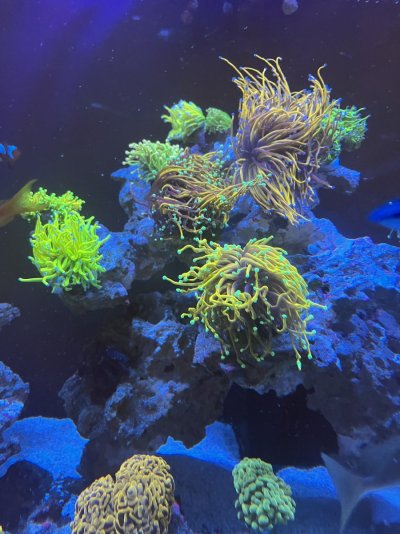 IMG_0771.jpeg