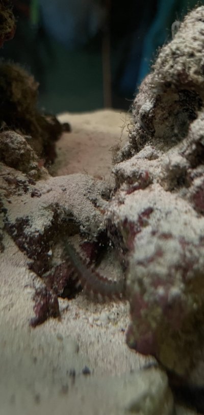 IMG_5064.jpeg