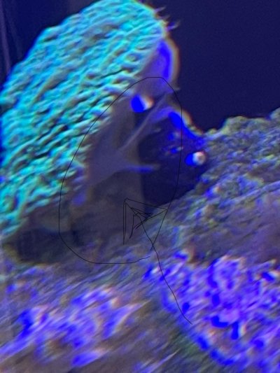 IMG_5461.jpeg