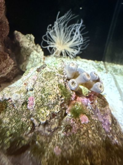 IMG_1479.jpeg