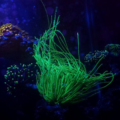 Resized_20220127_223140.jpeg