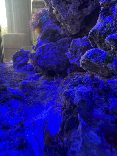IMG_0254.jpeg