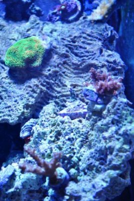 DSC_0298.jpg