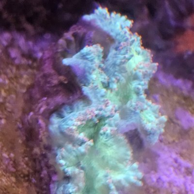 20250407_150125.jpg