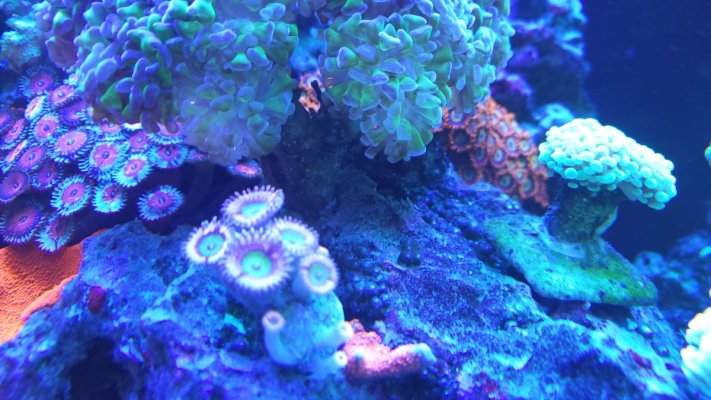20250420_100533.jpg