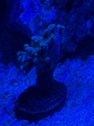 IMG_1356.jpeg