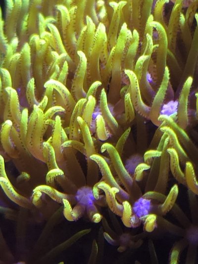 20250315_174220.jpg