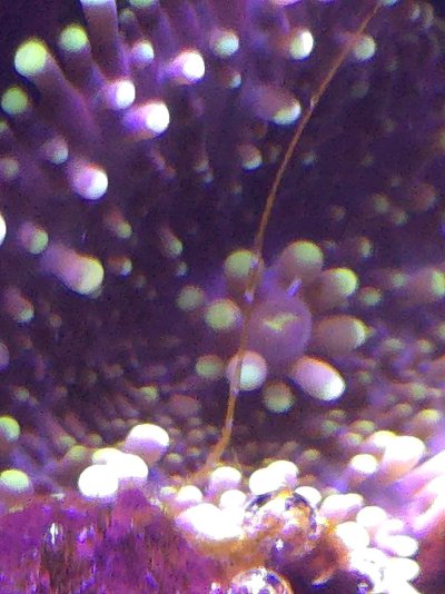 20250315_174213.jpg