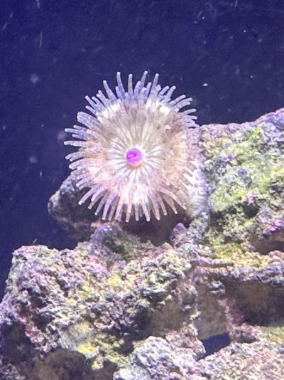 IMG_0994.jpeg