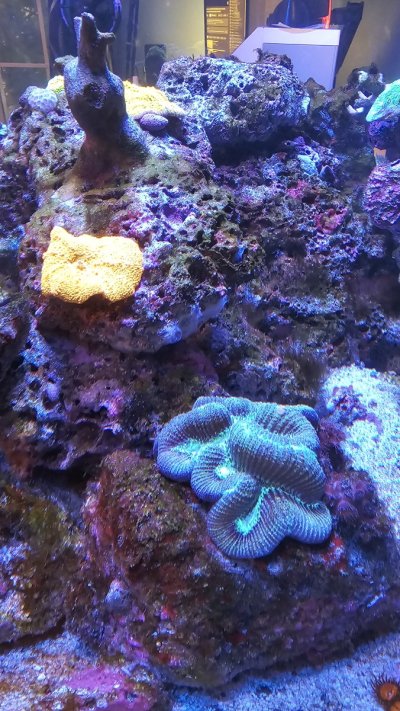 20250428_203039[1].jpg