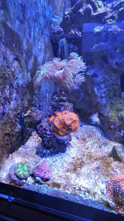 20250428_203249[1].jpg