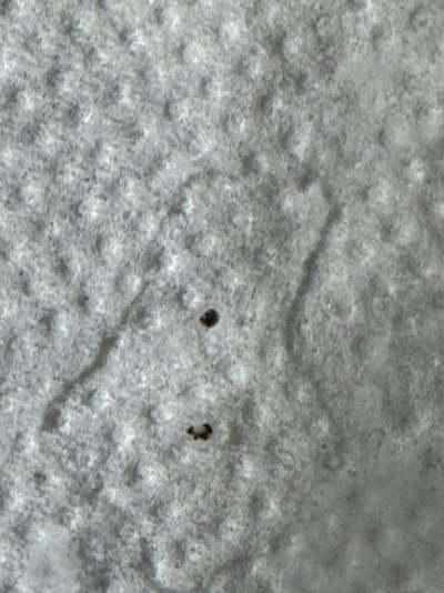 IMG_4455.jpeg