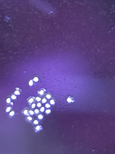 20250510_122437.jpg