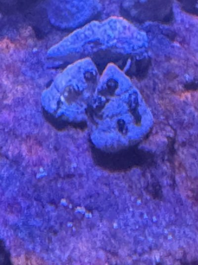 IMG_9456.jpeg