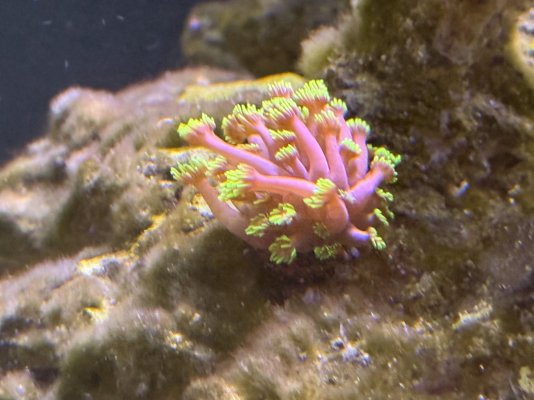 IMG_6756.jpeg