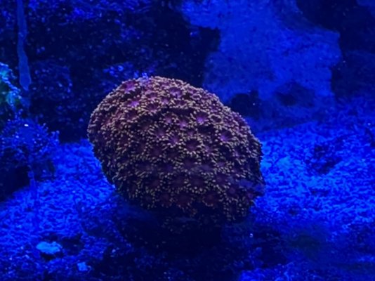 IMG_1367.jpeg