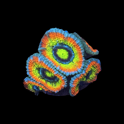 IMG_3845.png