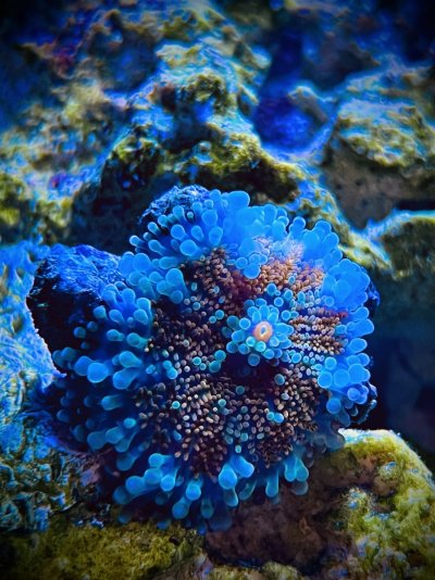 IMG_0917.jpeg