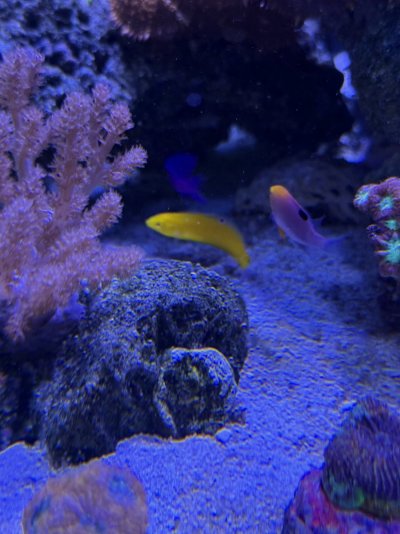 IMG_5772.jpeg