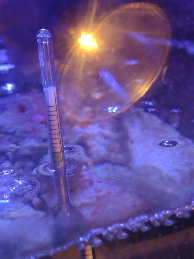 IMG_20250613_201244165.jpg