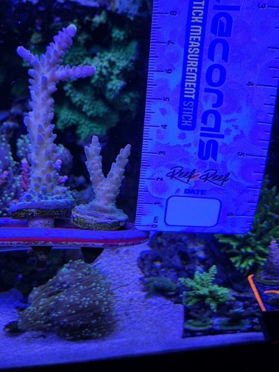 20250623_124541.jpg