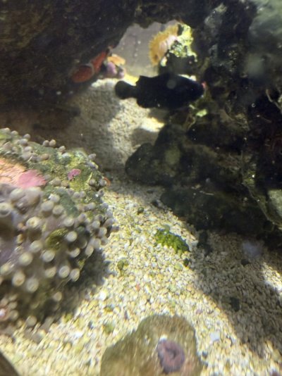 IMG_6304.jpeg