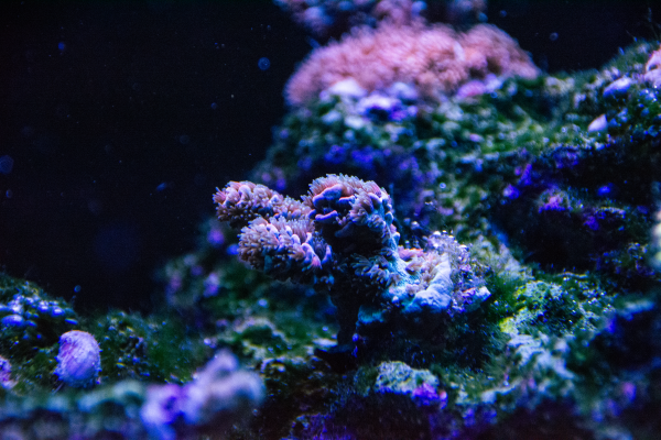 _DSC0103.png