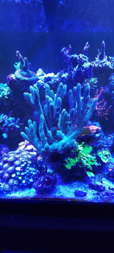 20250629_210710.jpg