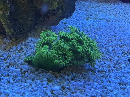 IMG_5561.jpeg