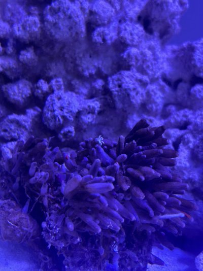 IMG_5556.jpeg