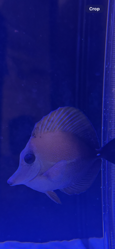 IMG_5972.png