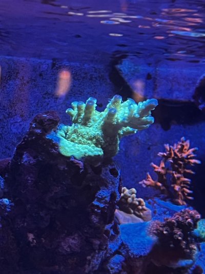 IMG_8362.jpeg