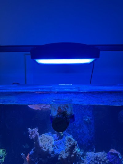 IMG_9038.jpeg