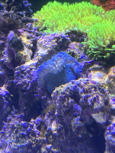 IMG_5329.jpeg