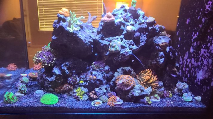 FLuval Evo (4).jpg