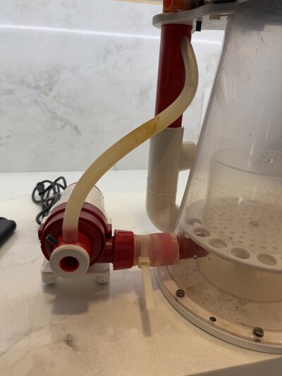 IMG_0541.jpeg IMG_0541.jpeg