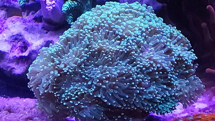20250719_123716.jpg